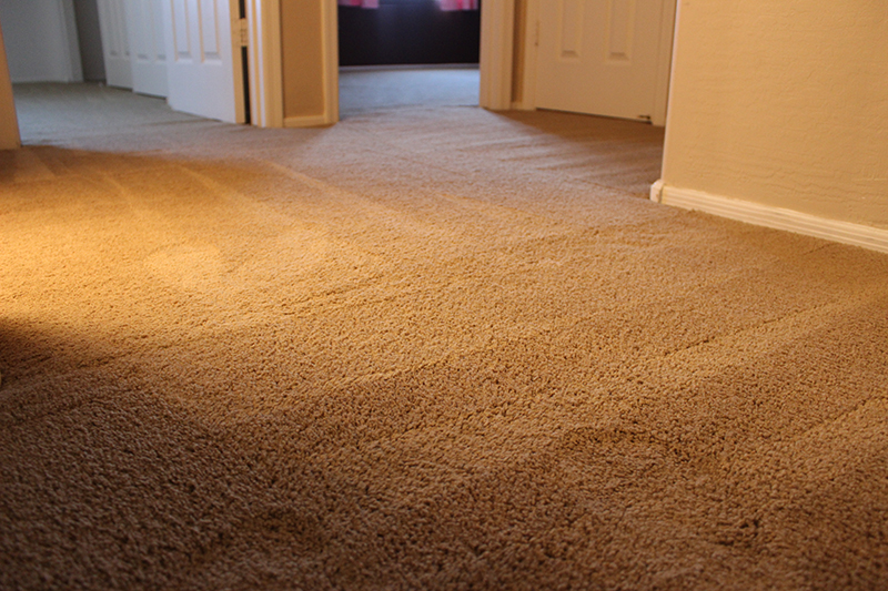When to Get Carpet Repair Vs. Carpet Replacement?
